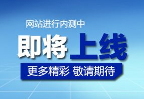 祝贺我公司新网站上线